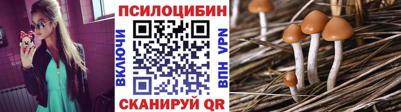 Купить  Новопавловск  Галлюциногенные грибы GOLDEN TEACHER 